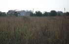 Teren 1,25 ha intravilan - 2