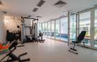 Aleea Alexandru, 4 camere, apartament special - 16