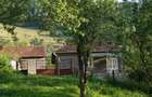 10 hectare teren plus casa la munte in Buces, Hunedoara - 1