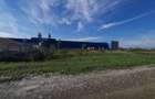 Dumbravita teren industrial 1700 mp 110000 euro