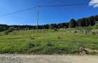 Teren intravilan Traisteni, Valea Doftanei – 2.290 mp, deschidere mare, padure - 4