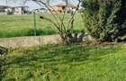 Casă de închiriat în Dumbravita – 3 dormitoare si garaj - 27
