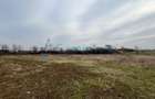 Teren intravilan 5700 mp de vanzare Osorhei, zona Podgoria - 1