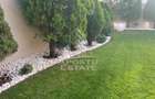 Vila de lux în Dumbrăvița cinci camere - 34