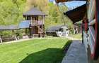 Cabana/Casa de vacanta in Molid, SV, 136 mp, teren cu 3300 mp, Iaz cu pesti - 14