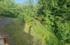 Vila de vanzare cu 6 camere in Cornu (teren 6.600 mp) - 50
