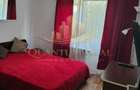 Inchiriere apartament 2 camere, Dristor - 6