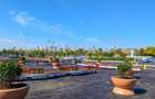 Apartament modern, 2 camere, locuinta bine compartimentata, Sector 4 - 30