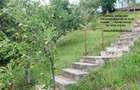 Casa in oras, cu  priveliste de vis, la poalele padurii - 20