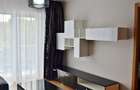 Apartament cu 2 camere, mobilat si utilat modern, in Viva City - 2