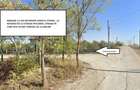 Teren Intravilan Periș – 12.500 mp - Direct Proprietar - Oportunitate Investiție - 4