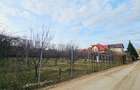Teren ideal resedinta in Iancu Nicolae - Pipera | Serban Cantacuzino | 1000 mp - 7