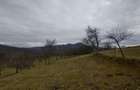 Teren intravilan si extravilan Luncoiu de Jos - 19
