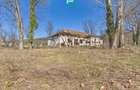 Conac nobiliar de secol XIX cu 8 camere în Maciova - 32