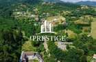TEREN INTRAVILAN 1013 MP | UTILITĂȚI LA STRADĂ | ZONA PIATRA BROAȘTEI - 1