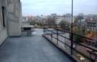 Apartament 132 mp utili si 60mp terasa Bd Lascar Catargiu - 2