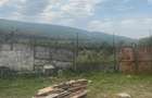 Fabrica de prelucrarea lemnului Valea Buzaului. - 13