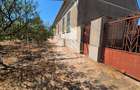 Doua case de vanzare cu 2533 mp teren, localitatea Pesac, Timis
