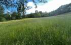 Teren de vanzare | 12 259mp | - 7