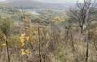 Teren extravilan suparfata 787 mp in zona Bradet - 3