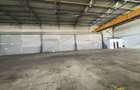 Depozit cu showroom de inchiriat de 1600 mp - 22