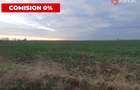 COMISION 0% Teren extravilan 20.000 mp la sosea in Sag  - 2