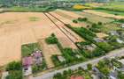 Casă gospodareasca cu teren generos 1,1 Ha in Silistea, Com. Todiresti - 3