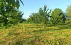 Teren parcelabil, intravilan, 6400mp cu casa renovata - ideal investitor  - 1