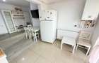 Inchiriere 2 camere Iriss Residence - Antibiotice - Valea Lupului - 7