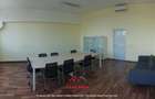 Hale noi, suprafata totala de 13.000 mp in Baicoi - 9