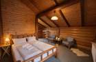 Resedinte montane,mobilate,echipate, jacuzzi,piscina,pretios areal,Sambata de Su - 20