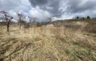 Teren intravilan in suprafata  de 2000 mp, zona Episcopiei - 2