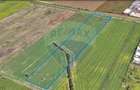 Teren comercial 5 ha, PUZ aprobat, acces direct Centura Nord Arad - 5