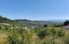 TEREN 990MP,VALEA JELNII - 1