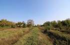 Teren 5963 mp deschidere lac Grivita 42 m cu deschidere la strazi 77 m - 8
