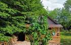 De vânzare cabană cu teren în zona Remetea Chioarului - 6