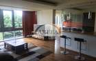 Apartament 3 camere complet mobilat cu loc de parcare inclus Iancu Nic - 7
