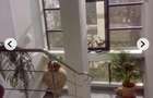 Inchiere apartament/birou  Herestrau - 10