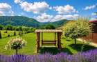 Refugiu pretios:jacuzzi, lemn masiv,2.000 mp teren,4 dormitoare, cuptor, investi - 34