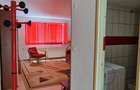 Apartament renovat cu o camera pe 2 nivele | Curte | Parcare | Grigorescu