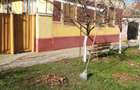 Casa 5 camere cu teren generos in Seitin judetul Arad - 20