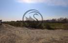 Teren de vanzare/inchiriere | 7800mp | Parcul Industrial | COMISION 0% - 4