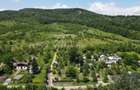 Teren spectaculos cu padure, livada si priveliste panoramica in Soimari PH - 5