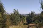 Teren Sacele zona de relaxare pretabil investitie - 4