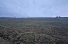 De vanzare teren 1,2 Ha in Laureni - 2