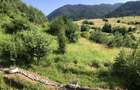 BLOC VILA IN NATURA | 2 camere etaj intermediar cu parcare | Coasta Vie Sacele C - 16
