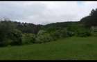 Vanzare teren intravilan 1540 mp in Faget - zona Sf Ion