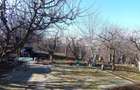 Vilă spatioasa in Gruia, aproape de Centru - 6