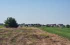 Teren intravilan 2.000 mp, două loturi construibile – Darvari, Ciorogârla - 7
