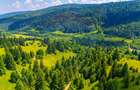 Natură— 18.900 mp în Săcele, cu râu și priveliște montană - 5